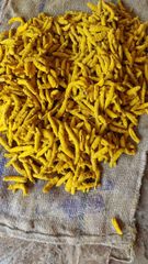 Turmeric finger double polished – product photo 2, product detail gallery