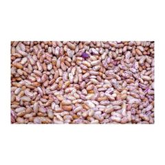 Top quality sugar beans for supermarkets and dry goods vendors - Image 3