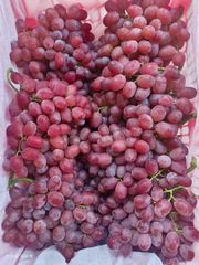 FRESH RED CRIMSON SEEDLESS GRAPES FOR SALE - CLASS 1 EXPORT QUALITY SEEDLESS GRAPES FROM SOUTH AFRICA – product photo 2, product detail gallery