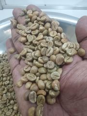 Coffee & Coffee Bean – product photo 1, product detail gallery