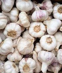 FRESH GARLIC - VIOLET SPRING - Image 2