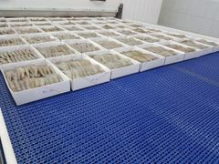 Frozen HOSO  ( Head On Shell On )   Vannamei Shrimp, Raw Frozen Seafood, Premium Quality Shrimp for Wholesale, Bulk Supp – product photo 5, product detail gallery
