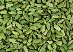 Kerala Green Cardamom 6mm to 8.5mm+ - Image 4