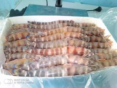 Frozen Raw Shrimp — PD (Peeled & Deveined, Tail-off) — Wild-Caught Atlantic - Image 3