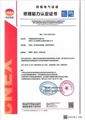 CENX certificate from Henan Wenjia Energy Technology Co., Ltd.