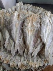 Dried Fish - Image 2
