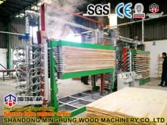 20layers Hollow Hot Press Veneer Pressing Drying Machines - Image 5