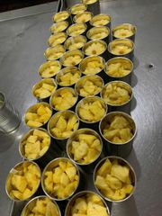 Canned pineapple pieces/tidbits - Image 3