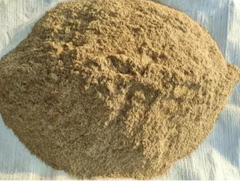 Bone Meal Powder - Image 2