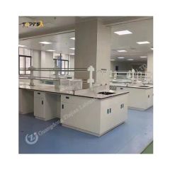 Lab Furniture Rack System Table Laboratory Bench Price Origin China Condition New Trademark TOPFEA Model NO. ZJIB001 HS Code - Image 1