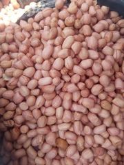 Groundnuts (peanuts) - Image 1