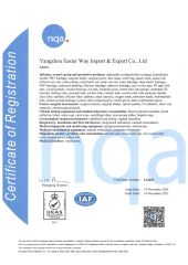 ISO 13485 certificate of Yangzhou Easier Way Import and Export Co., Ltd – certificate photo, supplier certificates section