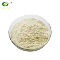Natural Native Rice Protein Powder for Sports Nutrition Origin China Certificate ISO Delivery in Time Specification ISO Trademark - Image 1