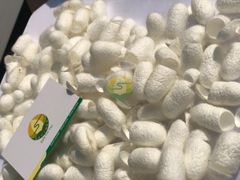 100% Raw Natural Silk Fiber Mulberry Silk Worm Cocoon for Skincare - Image 1