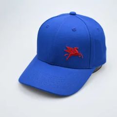 Custom Embroidery Sport 100% Cotton 6 Panels Curved Brim Baseball Cap - Shijiazhuang Dongqi Technology Co., Ltd