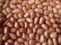 Whole Round Kernel Peanut for  available in bulk for sale - Image 4