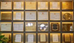 certification certificate of Jinan Dongye International Trading Co., Ltd – certificate photo, supplier certificates section