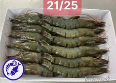 Premium Indian Frozen Black Tiger Shrimp – Export-Quality Penaeus Monodon, IQF Frozen Seafood for Wholesale and Internat - Image 3