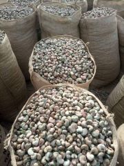 Cashew nut – product photo 1, product detail gallery