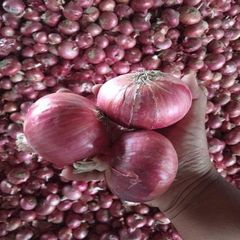100% Natural Fresh Red Onion/ Dried Red Onion Garlic/ Chinese Fresh Ginger Onion For Sale - Image 1