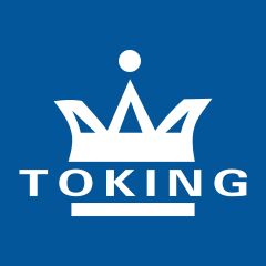 TOKING HOLDING GROUP LIMITED
