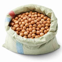 Indonesian Areca Nut Shape Whole Grade Premium Origin Indonesia Features Organic Size 80-85 / 90-95 Product Type Spices Place of Origin Indonesia - Image 1