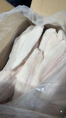 High Quality Frozen White Fish Fillets Suitable For Family Meals Catering Services and Professional Kitchen – product photo 5, product detail gallery