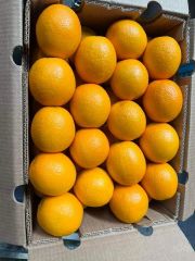 FRESH VALENCIA ORANGES FOR SALE!! CLASS 1 EXPORT QUALITY VALENCIA ORANGES FOR EXPORT – product photo 1, product detail gallery