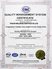 ISO9001:2000 Certificate-Tianjin Wellmade Scaffold Co.,LTD certificate from Nanjing Wellmade Metalwork Co., Ltd.