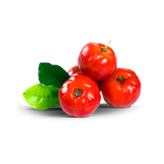 Frozen Acerola Pulp NFC Color Red Drum Net Weight 170 Kg Place of Origin Brazil Storage Temperature -18°c Total 40' Net Weight 23.800 Kg - Image 1