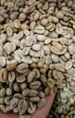 Coffee & Coffee Bean – product photo 1, product detail gallery