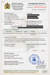Phytosanitary Certificate SB certificate from Sweet Toil