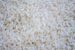 White Long Grain Paddy Rice, Packaging Type: Loose at ₹ 26/kg in Pune – product photo 4, product detail gallery