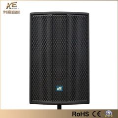 Mono Commercial Ke Audio China PA Speaker Amplifier Professional Loudspeaker with High Quality Ke-15 - Image 1