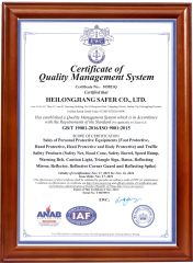 ISO9001 Certificate certificate from Heilongjiang Safer Co., Ltd.