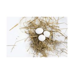 Farm Fresh Chicken Table Eggs  - Image 2