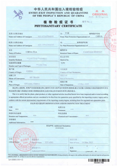 Phytosanitary Certificate certificate from Olizub