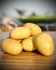 Pakistan Fresh Potatoes Mozika Red Yellow, FOB Karachi - Image 2