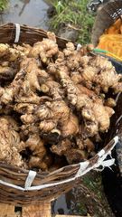 FRESH GINGER - Image 3