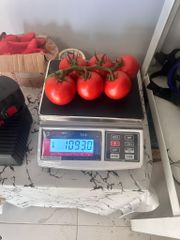 tomato Supplier Application - Climbo Cluster Tomato (GlobalGAP, BRC IFS, Good Agriculture, GRASP Certified) - Image 6