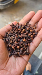 Premium Whole Cloves (Laung) – product photo 1, product detail gallery