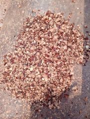 Cashew Kernel