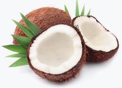 Semi Huked Coconut - Image 1
