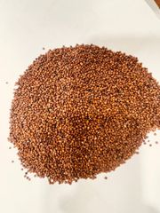 Red Quinoa Seeds, Regular Size, Purity - 99.9 %, Indian Origin - Image 1