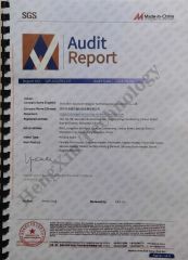 SGS Audit certificate from Shenzhen Excellent Hengxin Technology Development Co., Ltd