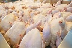 whole chicken - Image 1