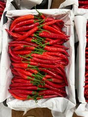 BIG RED CHILI - Image 3