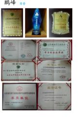 Certificate certificate from Qingdao Pengfeng Building Materials Co., Ltd.