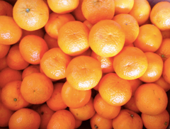 Fresh Orange Fruit - Image 4