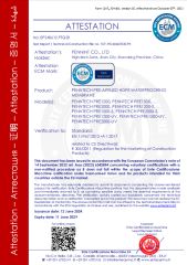 CE certificate from Pennint Co., Ltd.